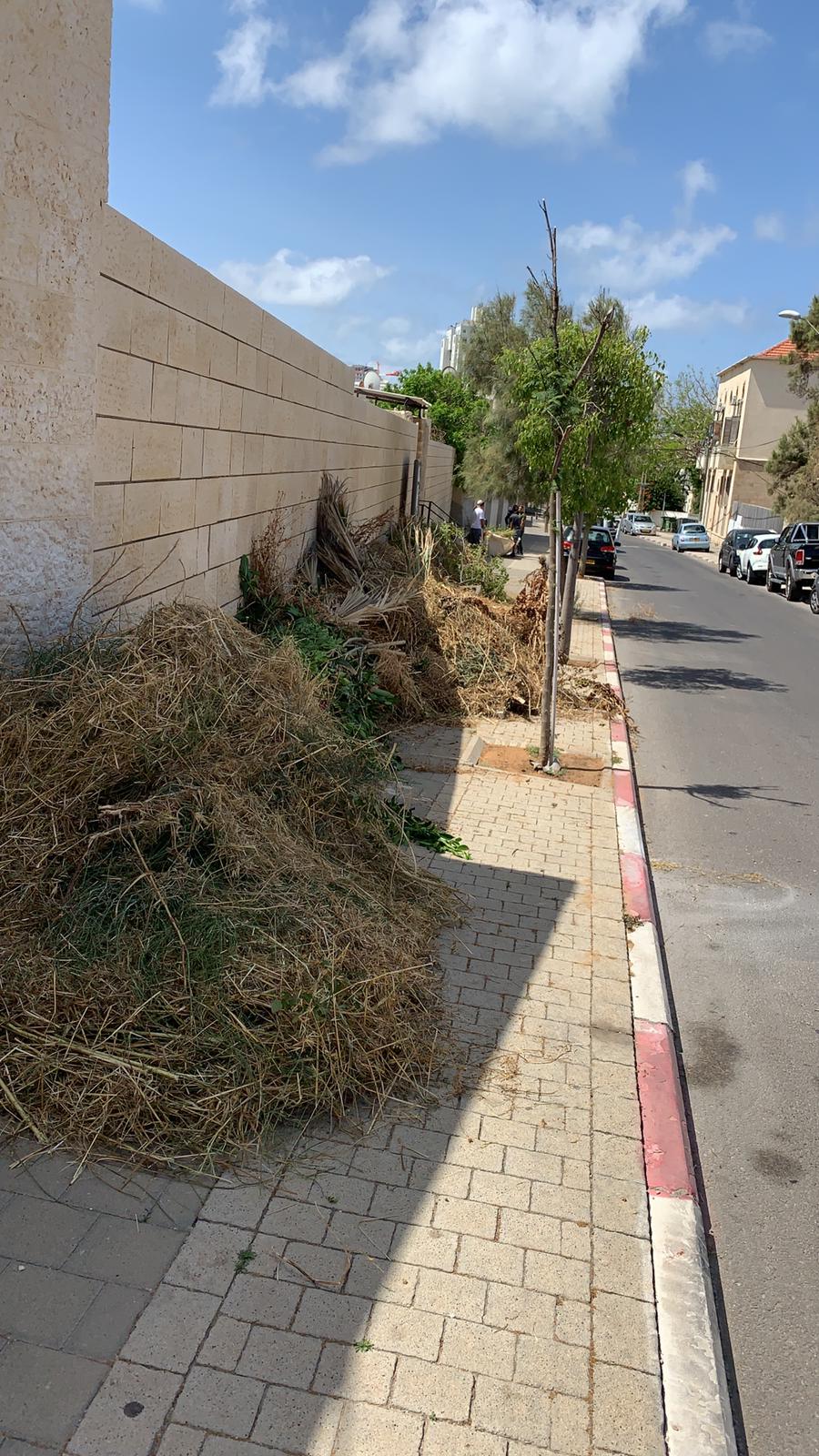 WhatsApp Image 2021-05-17 at 2.09.04 PM (1).jpeg